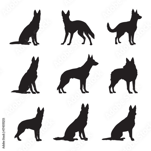 Belgian malinois dog silhouette collection