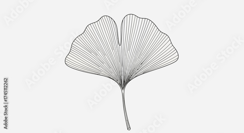 Elegant ginkgo leaf line art for zen garden design or minimalist botanical print, a subtle detail for sophisticated branding and serene wellness projects
