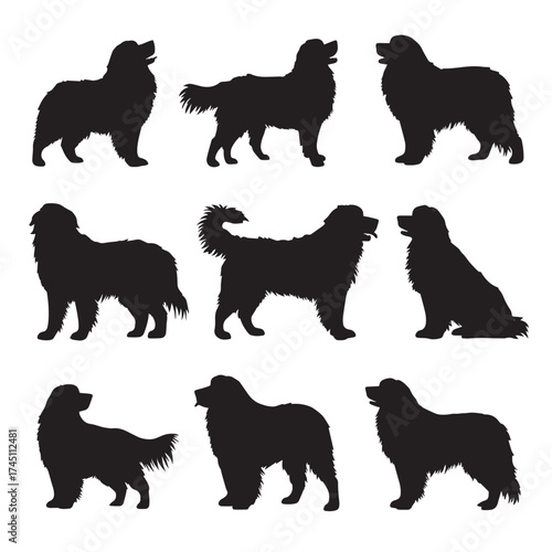 Bernese mountain dog silhouette collection