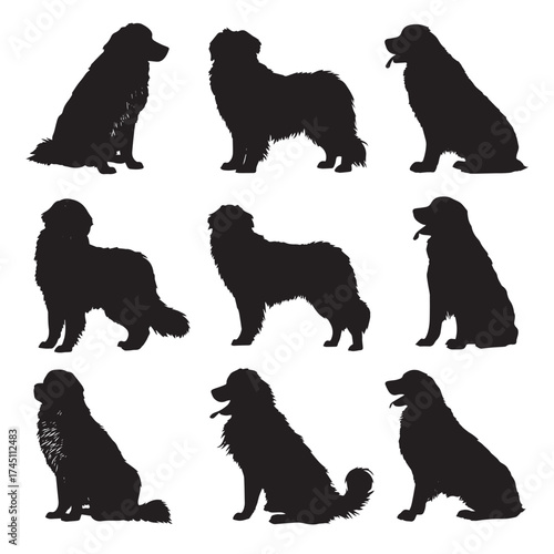 Bernese mountain dog silhouette collection black and white dog graphics
