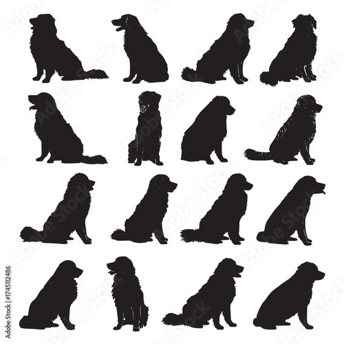 Bernese mountain dog silhouette collection black and white graphics