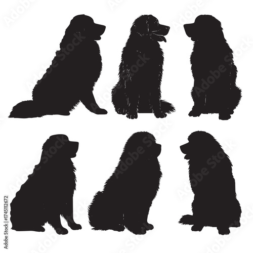 Bernese mountain dog silhouette collection black and white