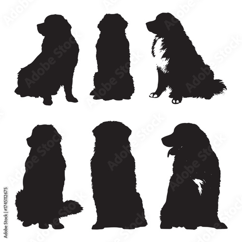Bernese mountain dog silhouette collection black and white