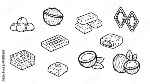 Hand drawn coconut treats and candies collection for sweet confectionery designs vector