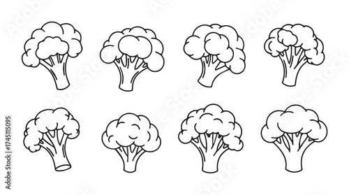 Collection of hand drawn broccoli florets various angles sketch style healthy food element vector