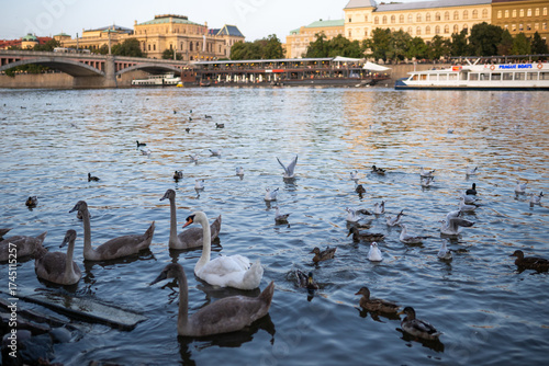 view of the city of Prague in Czech Republic on river Vltava 
