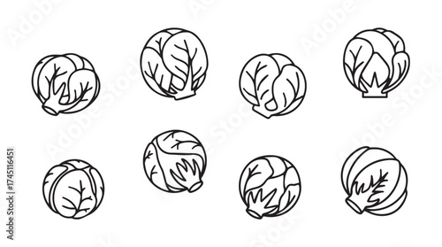 Artistic sketch of eight brussels sprouts in various angles for culinary design vector