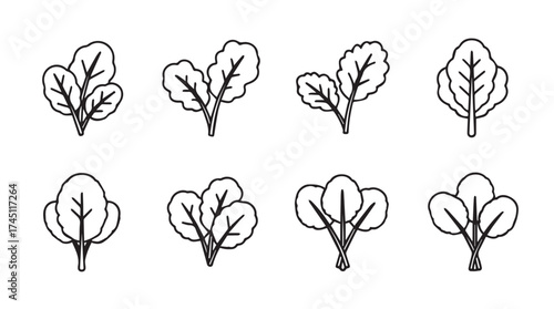 Set of hand-drawn style spinach leaves simple outline botanical elements for healthy food design vector
