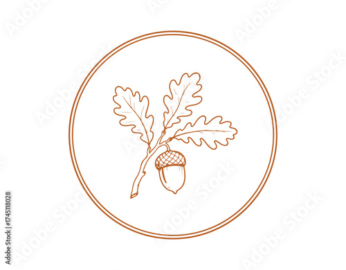 Sketch illustration of an acorn on a branch with leaves. A hand-drawn ink sketch of the fruit from an oak tree. Clip art, vector graphic.
