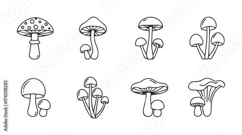 Collection of hand drawn sketchy mushroom designs for artistic forest and nature themes vector