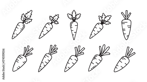 Hand drawn sketchy carrots collection simple organic root vegetables line art elements for design vector