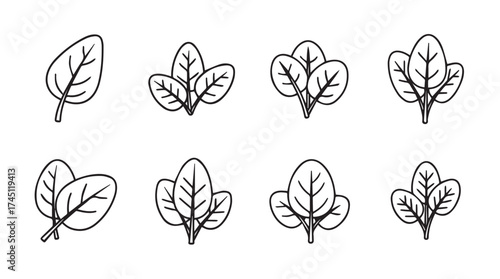 Hand drawn spinach leaf icon set fresh organic greens simple sketch style isolated vector