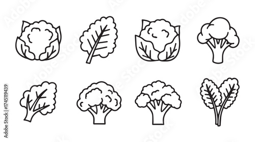 Hand drawn sketch collection of fresh broccoli and cauliflower vegetables vector