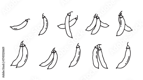 Collection of hand-drawn pea pods featuring various arrangements and styles simple sketch art vector