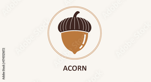 A simple, stylized illustration of an acorn with a brown cap and a tan body, enclosed within a circular border, with the word "ACORN" centered below.