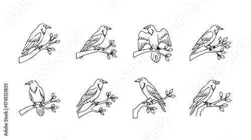 Collection of sketchy bird illustrations on branches charming nature wildlife art detailed line drawings vector