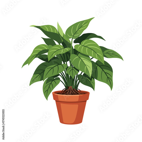 A healthy green potted plant with visible roots in a terra cotta pot.