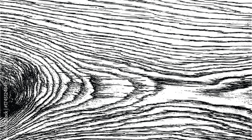 High-Contrast Black and White Grunge Wood Grain Texture
