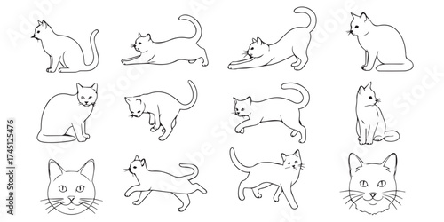 set of funny animals