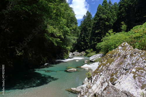 土佐町の清流平石川　夏　（高知県）