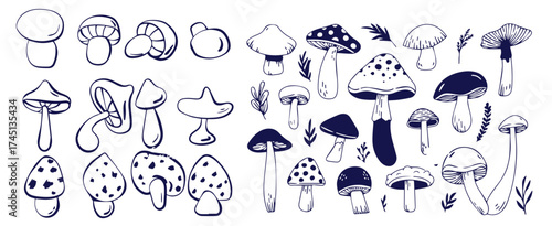 Outline mushrooms doodle big set. Fungi hand drawn sketch of various shapes and sizes isolated on white background