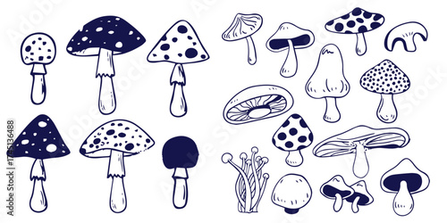 Outline mushrooms doodle big set. Fungi hand drawn sketch of various shapes and sizes isolated on white background
