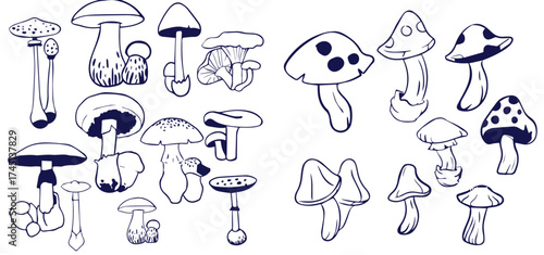 Outline mushrooms doodle big set. Fungi hand drawn sketch of various shapes and sizes isolated on white background
