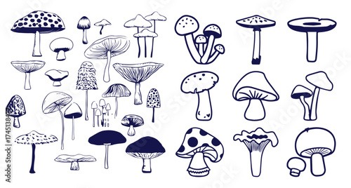 Outline mushrooms doodle big set. Fungi hand drawn sketch of various shapes and sizes isolated on white background