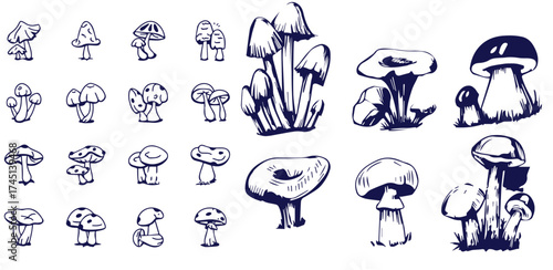 Outline mushrooms doodle big set. Fungi hand drawn sketch of various shapes and sizes isolated on white background