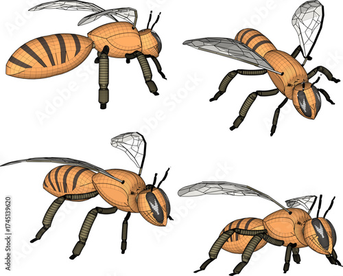 vector sketch illustration of animal design insect bee flying looking for food