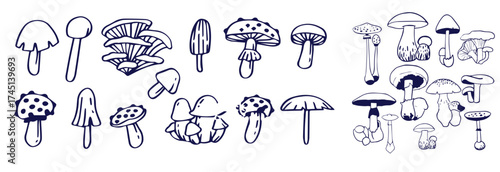 Outline mushrooms doodle big set. Fungi hand drawn sketch of various shapes and sizes isolated on white background