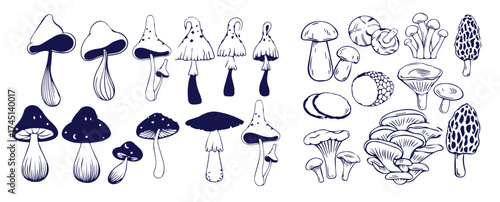 Outline mushrooms doodle big set. Fungi hand drawn sketch of various shapes and sizes isolated on white background