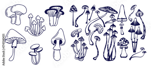 Outline mushrooms doodle big set. Fungi hand drawn sketch of various shapes and sizes isolated on white background