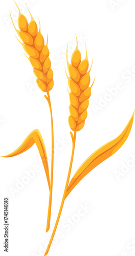 Thanksgiving day wheat ear harvest cartoon autumn object. Thanksgiving holiday harvest, fall season celebration vector attribute. October greeting cereal farm wheat, rye or rice ear decoration