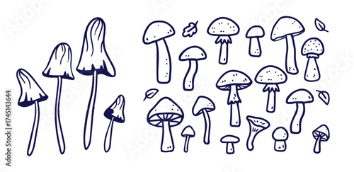 Outline mushrooms doodle big set. Fungi hand drawn sketch of various shapes and sizes isolated on white background