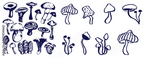 Outline mushrooms doodle big set. Fungi hand drawn sketch of various shapes and sizes isolated on white background