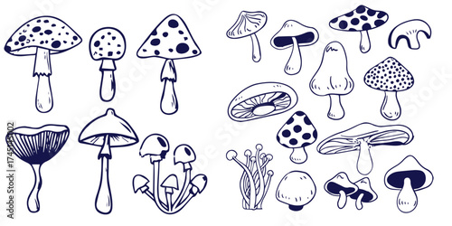 Outline mushrooms doodle big set. Fungi hand drawn sketch of various shapes and sizes isolated on white background