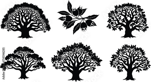 Black tree silhouettes and botanical fruit illustration, abstract decorative plants, natural forest shapes, artistic foliage design, isolated vector elements, nature