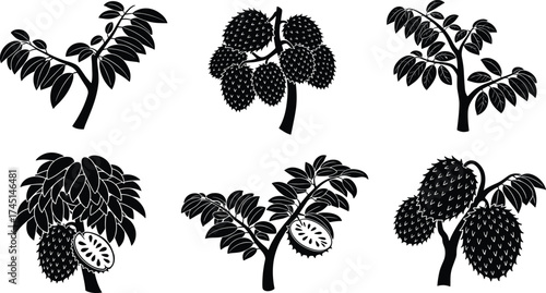 Durian tree silhouettes with spiky fruits, tropical orchard illustration, black vector icons, decorative tree designs, isolated foliage set, exotic agriculture elements