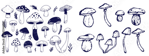 Outline mushrooms doodle big set. Fungi hand drawn sketch of various shapes and sizes isolated on white background