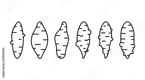 Hand drawn sketch of six different shaped sweet potatoes artistic food organic root vegetable graphics vector