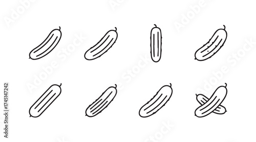 Hand drawn cucumber icons set fresh vegetables line art simple graphics agricultural product collection vector