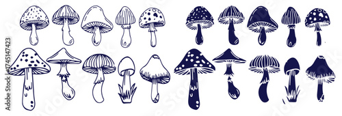 Outline mushrooms doodle big set. Fungi hand drawn sketch of various shapes and sizes isolated on white background