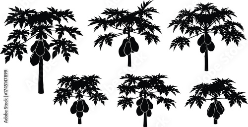 Papaya tree silhouettes with fruits, tropical orchard illustration, black vector icons, decorative tree designs, isolated foliage set, exotic agriculture elements