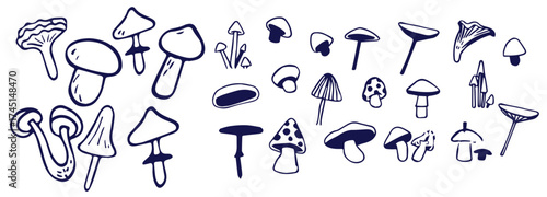Outline mushrooms doodle big set. Fungi hand drawn sketch of various shapes and sizes isolated on white background