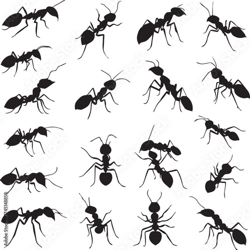 Black and white ant silhouette icon set with varied postures and detailed body segments for entomology and design