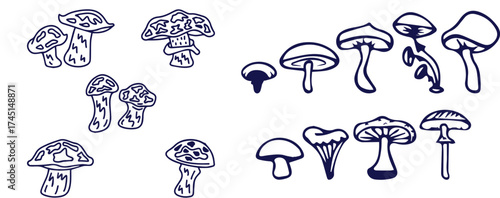 Outline mushrooms doodle big set. Fungi hand drawn sketch of various shapes and sizes isolated on white background