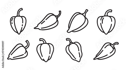 Hand drawn bell peppers collection fresh organic vegetables art food ingredient sketch set vector