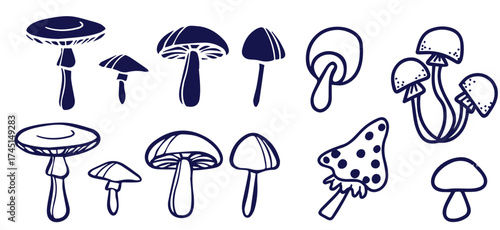 Outline mushrooms doodle big set. Fungi hand drawn sketch of various shapes and sizes isolated on white background