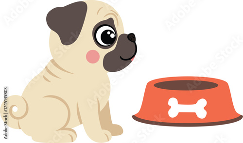 Adorable Fawn Pug Puppy Sitting by Food Bowl